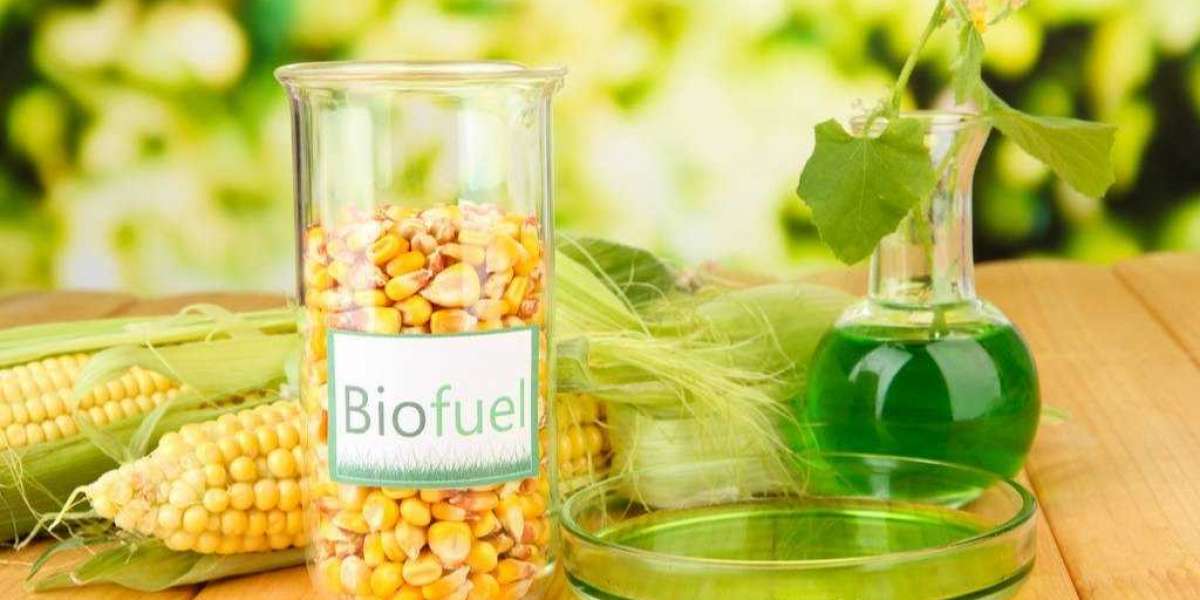 Biofuel Manufacturing Plant Project Report 2023: Raw Materials Requirements, Plant Setup, Cost and Revenue