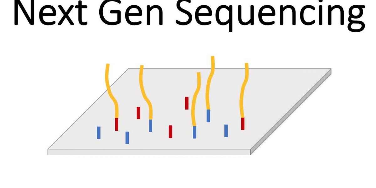 Next Generation Sequencing Market Estimated to Witness High Growth Owing to Rising Demand for Personalized Medicine