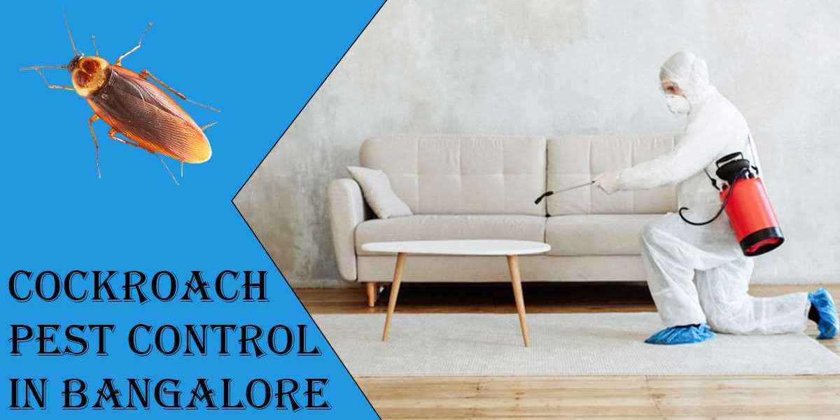 Cockroach Pest Control in Bangalore | Cockroach Treatment
