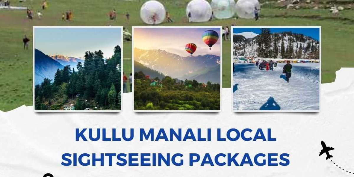Investigating Kullu manali local sightseeing packages with Lock Your Trip