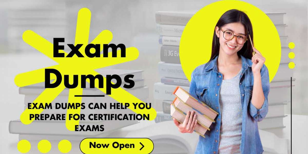 The Exam Dumps Blueprint 2.0: A Strategic Guide to Triumph