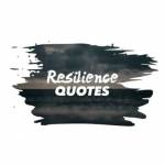 quote on resilience Profile Picture