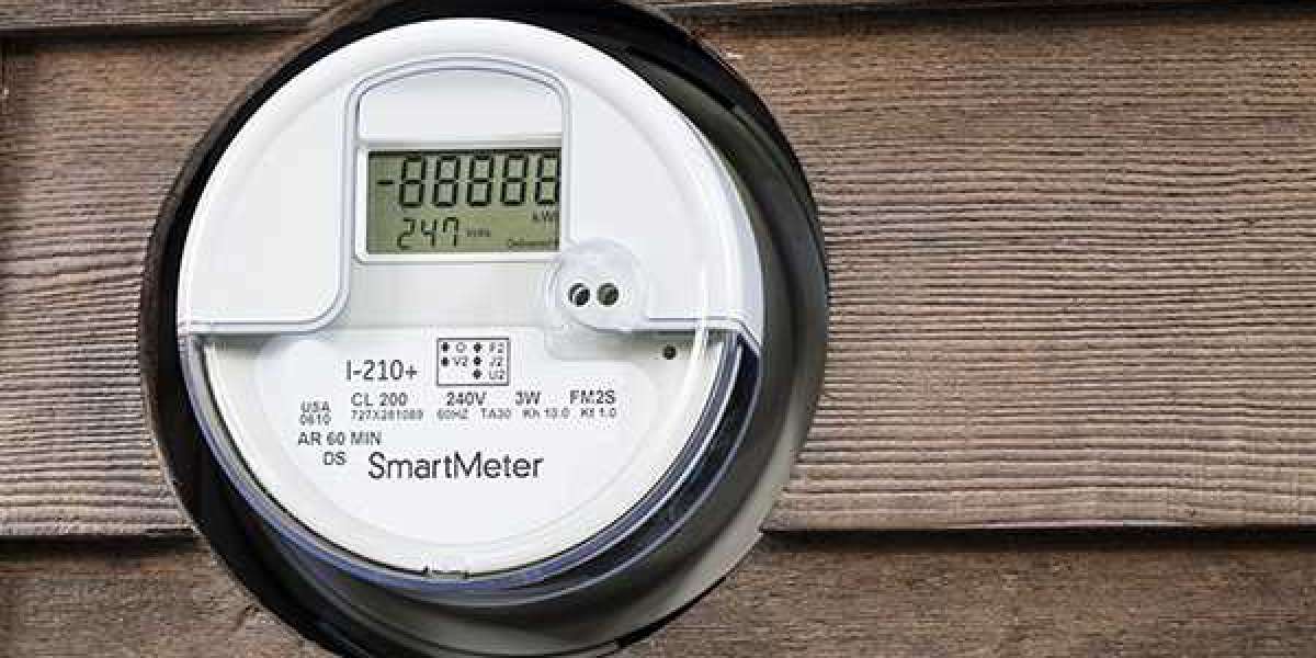 Future Outlook Forecasting Trends and Market Dynamics in the Smart Meters Landscape