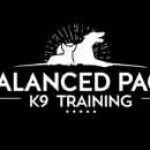balancedpackk9training4 Profile Picture