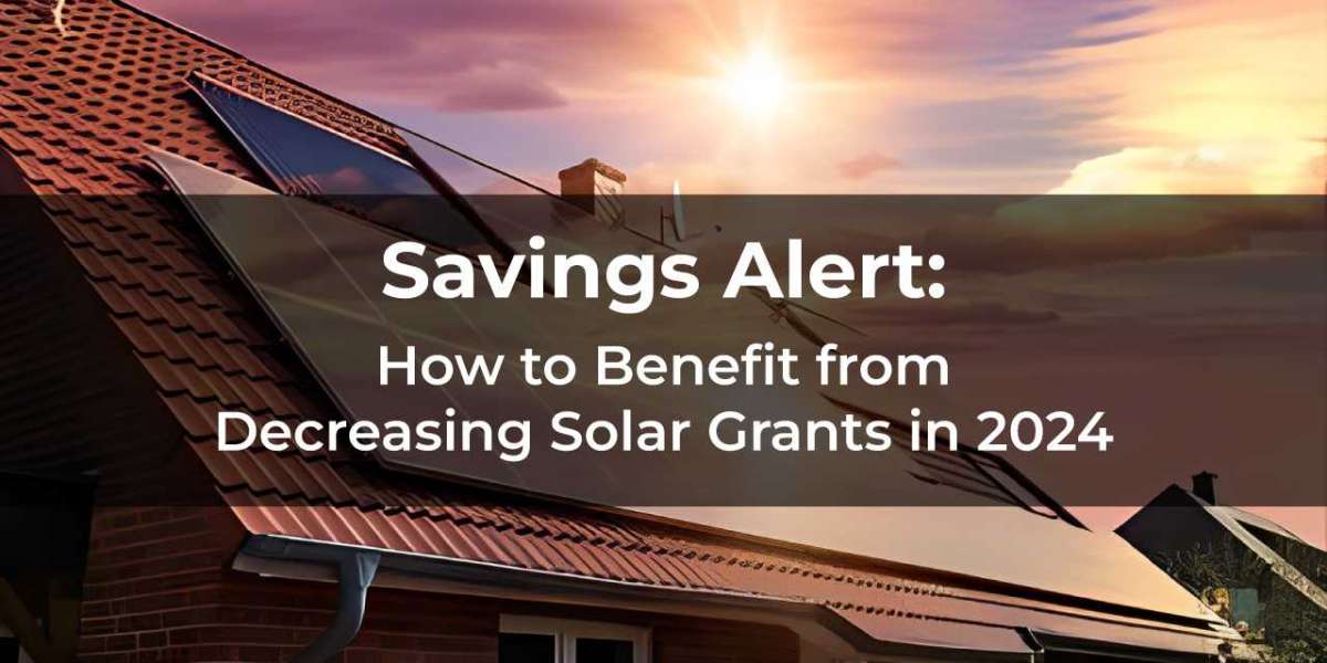 Savings Alert: How to Benefit from Decreasing Solar Grants in 2024
