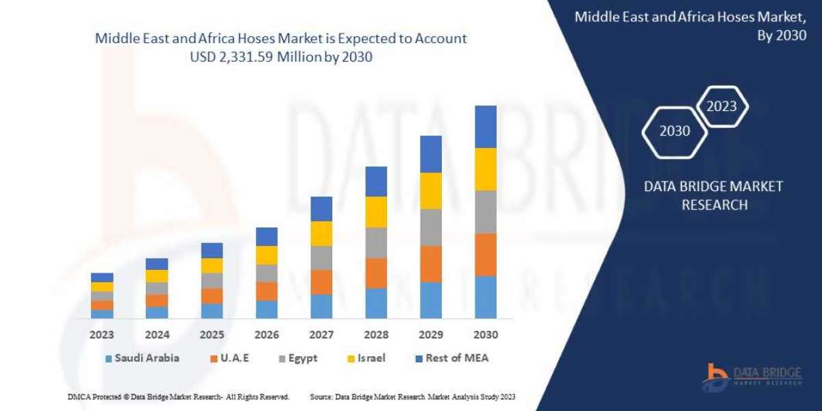 Middle East and Africa Hoses Market Regional Developments, Revenue, Sales and Competitive Landscape analysis Report