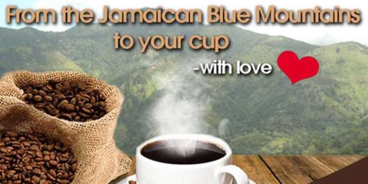 Discovering Jamaican Blue Mountain Coffee: A Culinary Expedition