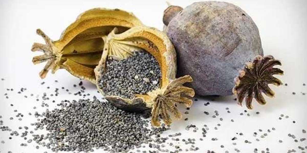 Poppy Seed Processing Plant Project Report 2024: Machinery and Raw Material