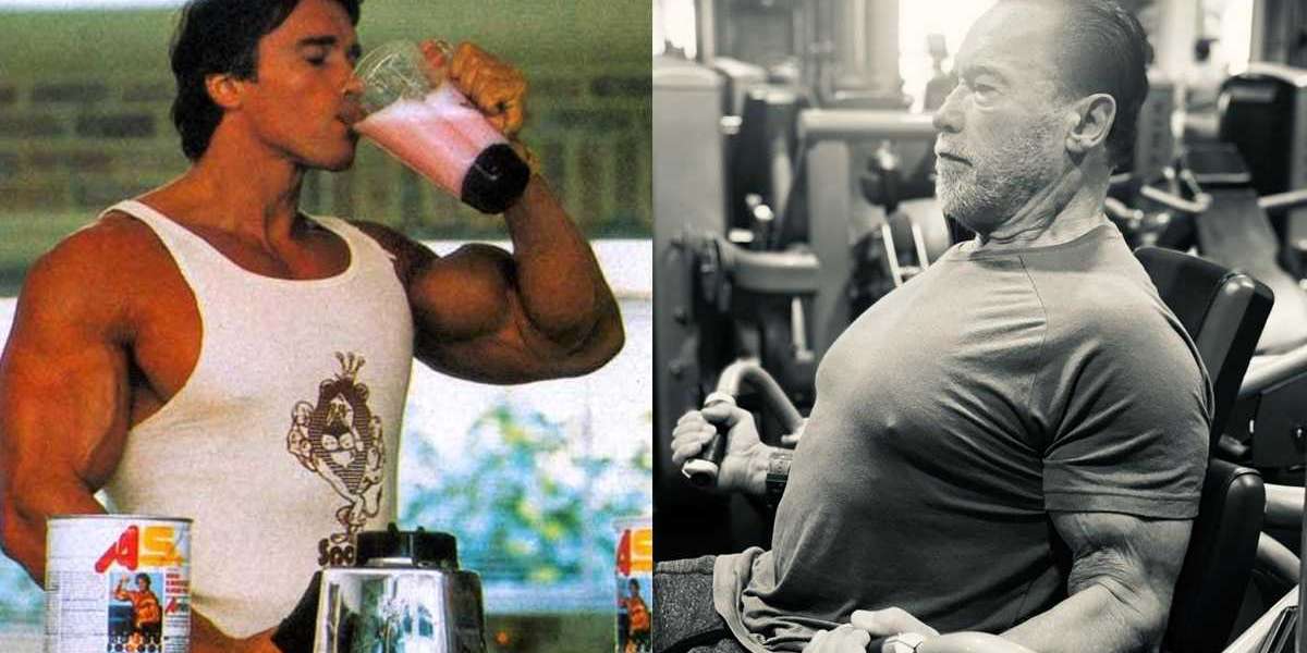 Fueling Greatness: Arnold's Diet Plan Decoded