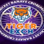 Tiger exchio Profile Picture