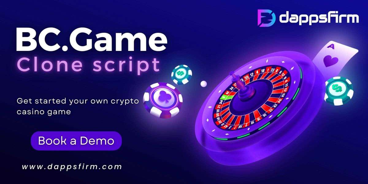 Customizable BC.game Clone Software for Unique Casino Experiences