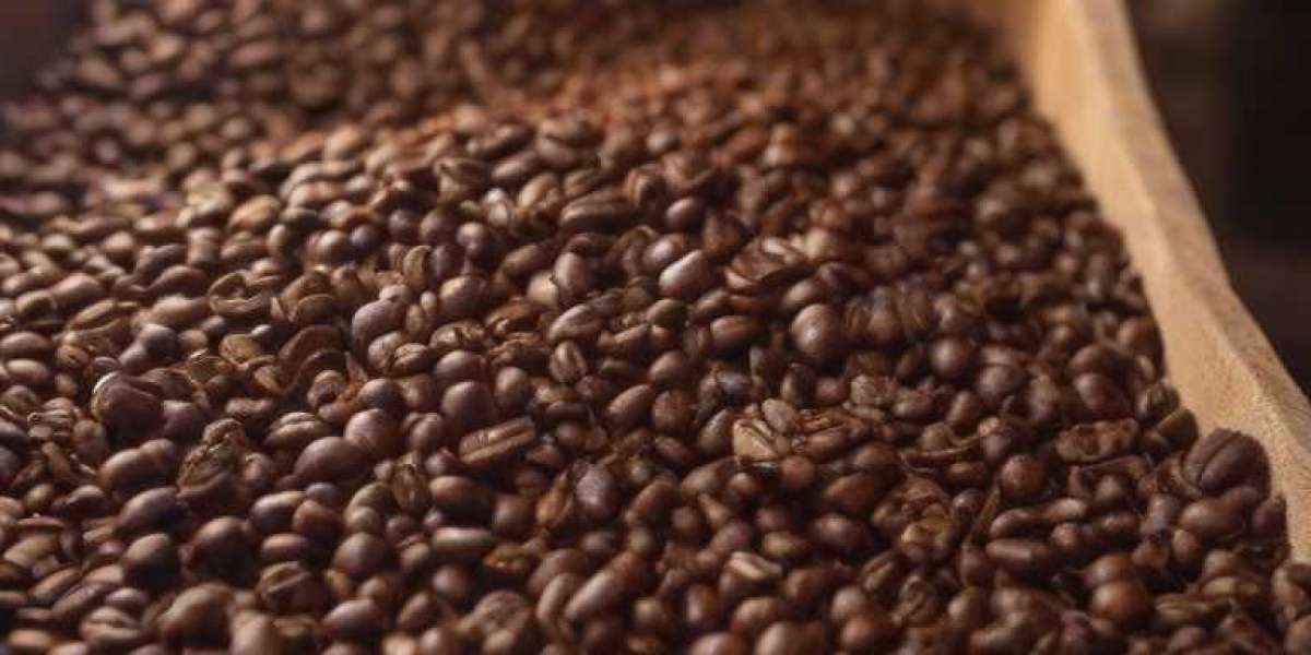 Project Report on Coffee Beans Processing Plant 2024: Plant Setup and Cost Involved