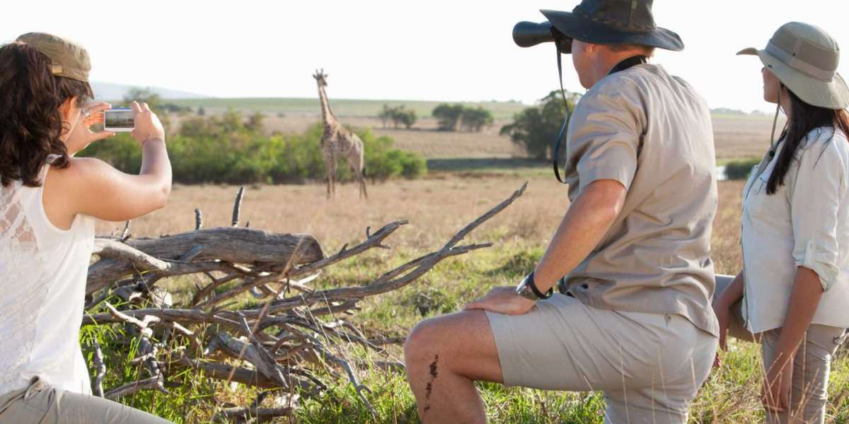Unveiling the Beauty of Botswana Photo Safaris with Kalahari Safaris