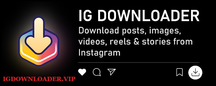 IG Downloader - Download Instagram Video, Reels, Story, IGTV & Photos