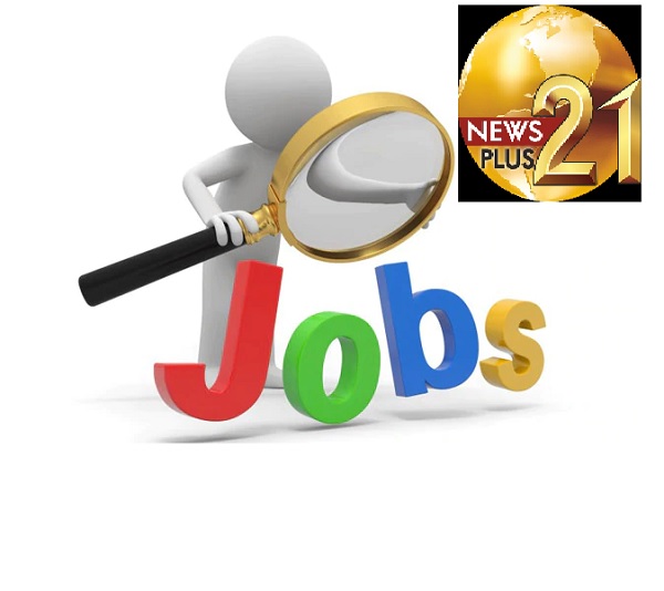 CG JOB: सिर्फ इंटरव्यू से मिलेगी नौकरी, 31 जनवरी को लगेगा रोजगार मेला, 8वीं पास भी ले सकते हैं भाग