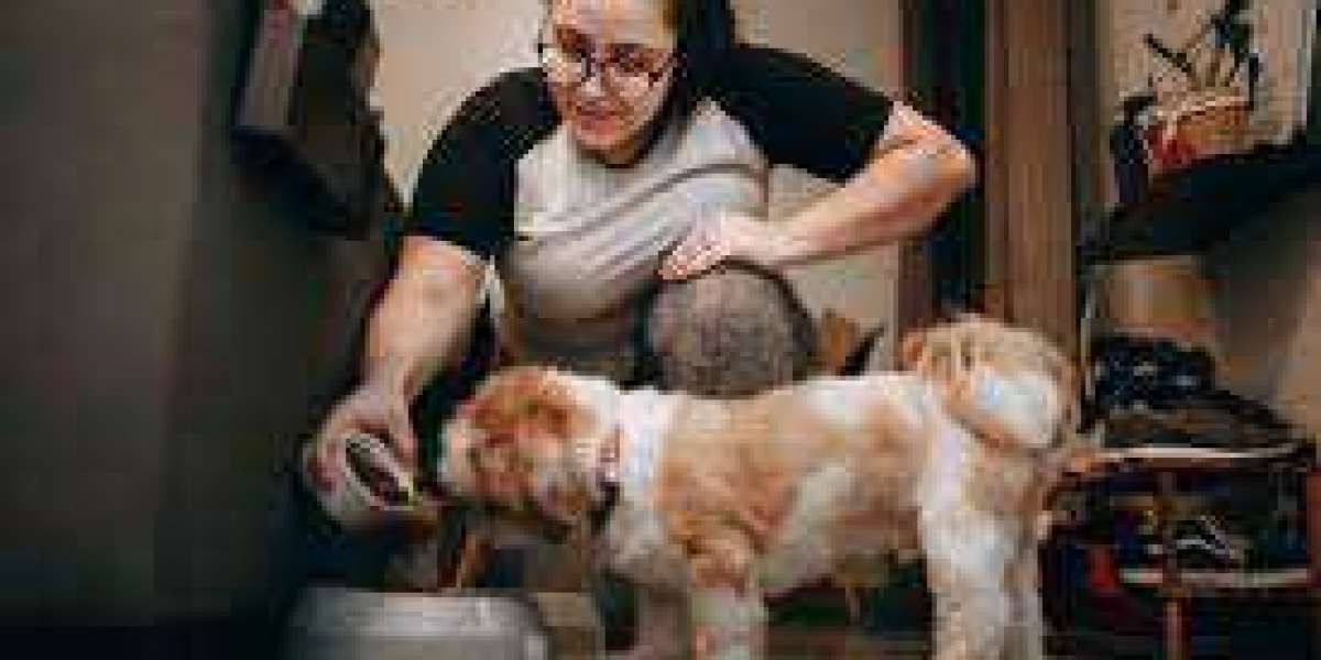 Pampered Pooch Services: Dog Sitters Extraordinaire