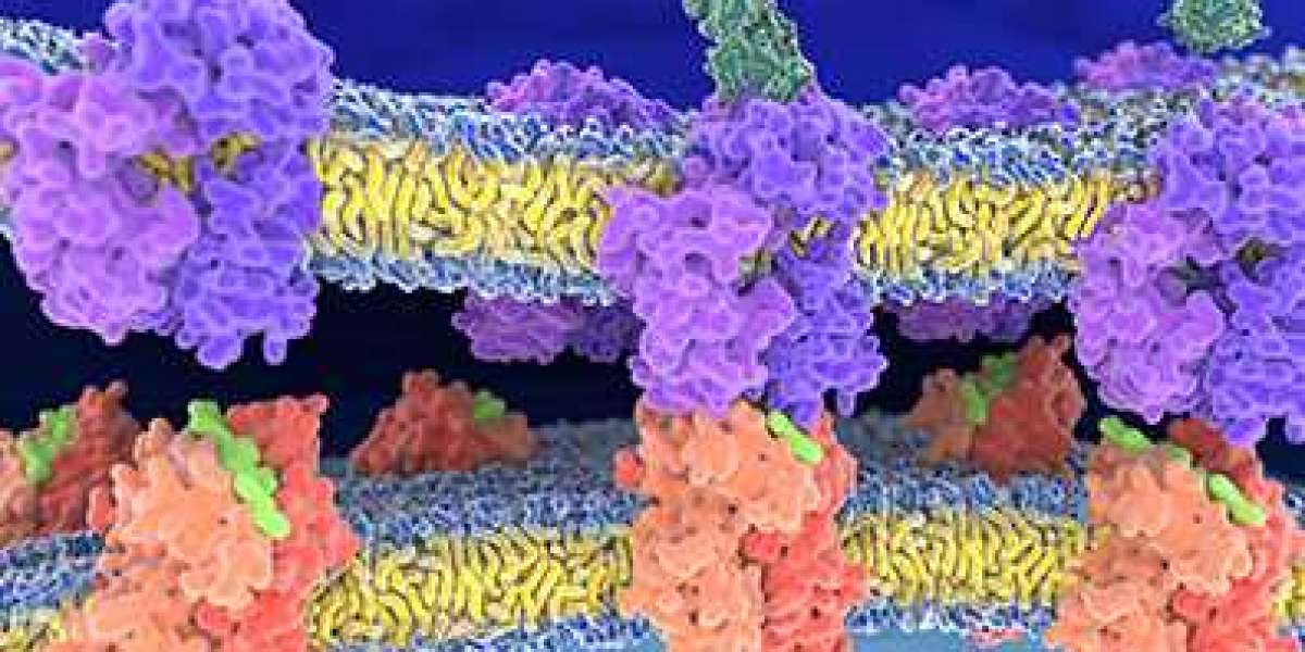 Do Peptide Drugs Need Acylation Blocking at Nα?