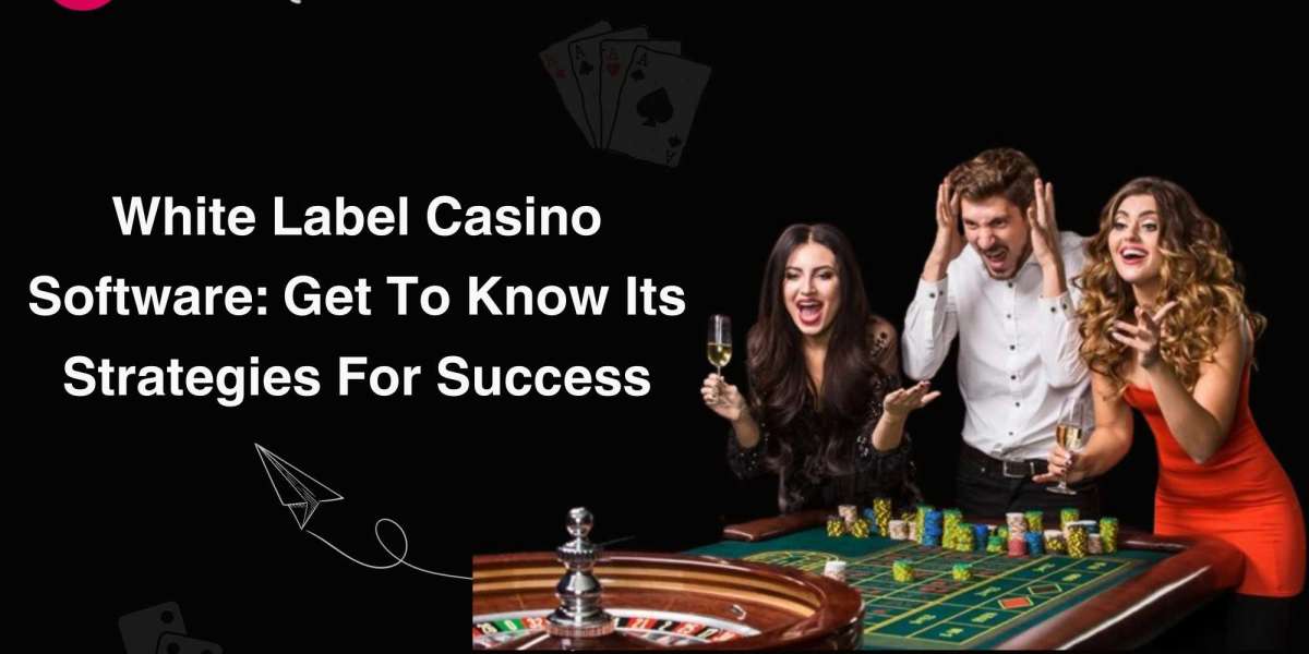 White Label Casino Software: Get To Know Its Strategies For Success