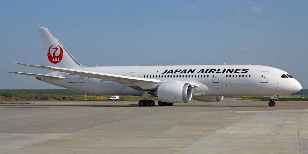 Japan Change Flight