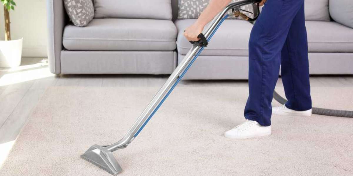 How Professional Carpet Cleaning Services Diminishes Allergens