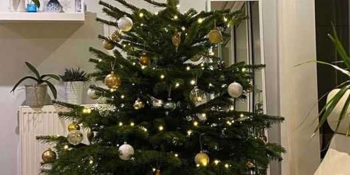 Christmas tree shop london