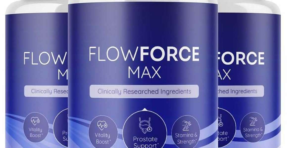 The Capabilities of FlowForce Max: An Exploration of the Art of Smooth Operations