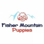 Fisher Mountain Puppies Profile Picture