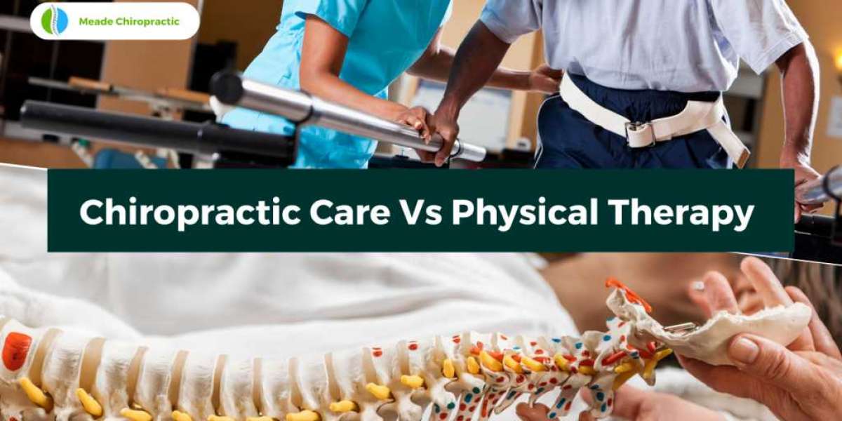 Exploring the Interplay: Neurology and Chiropractic Care in Modern Healthca