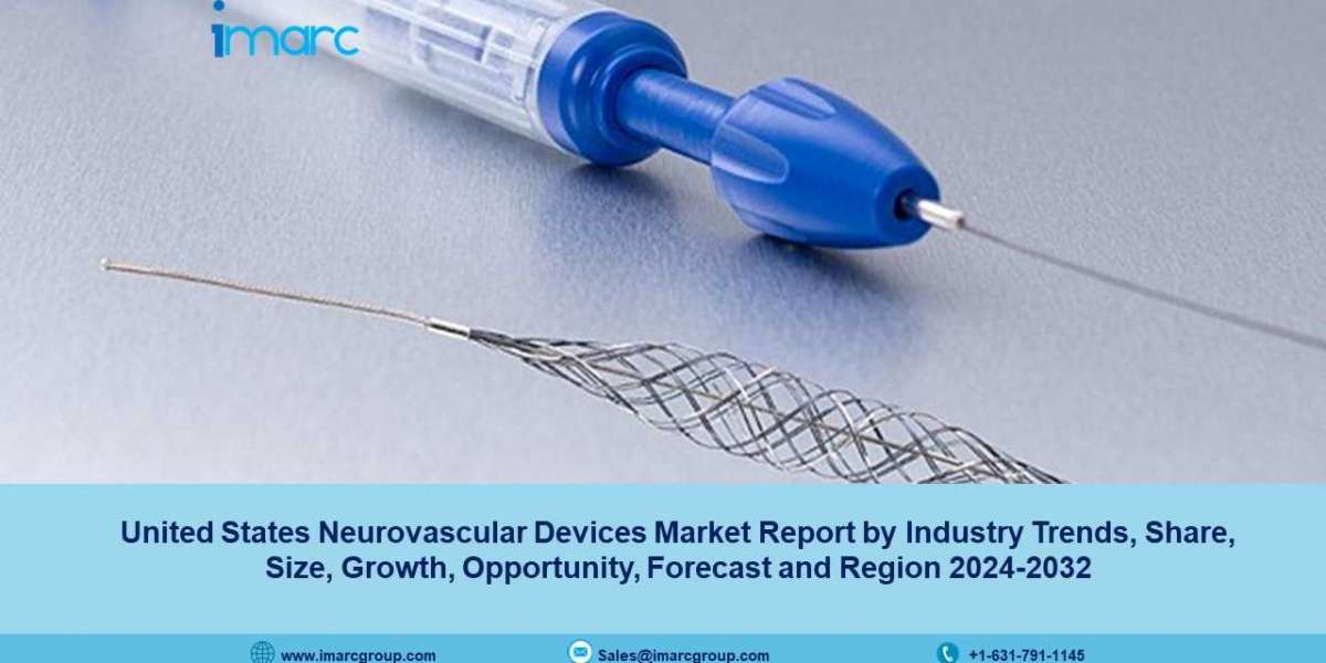 United States Neurovascular Devices Market Size, Trends, Demand, Growth And Forecast 2024-32
