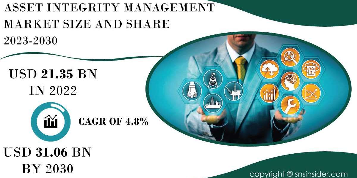 Asset Integrity Management Market Analysis and Strategies | Analyzing Growth Potential