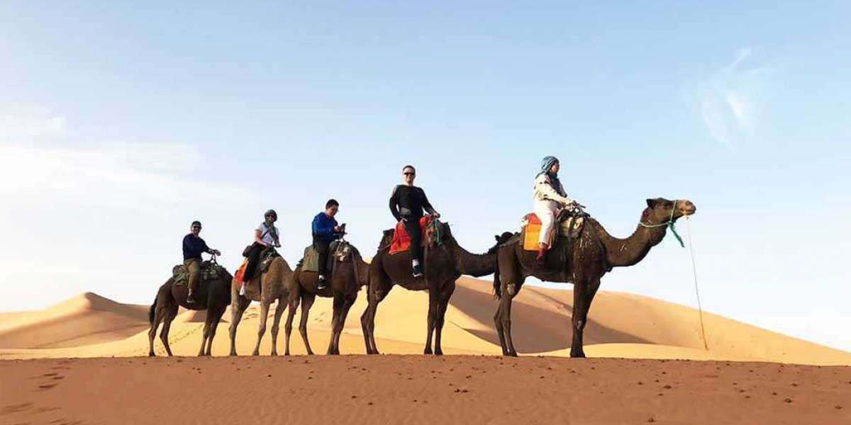 Embark on an Unforgettable 10 Days Tour from Casablanca to Marrakech