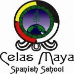 Celas Maya Profile Picture