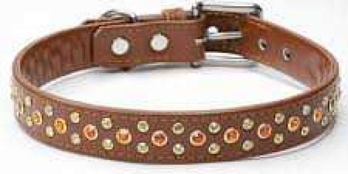 Top Dog Style: How Personalized Leather Collars are Redefining Canine Fashion