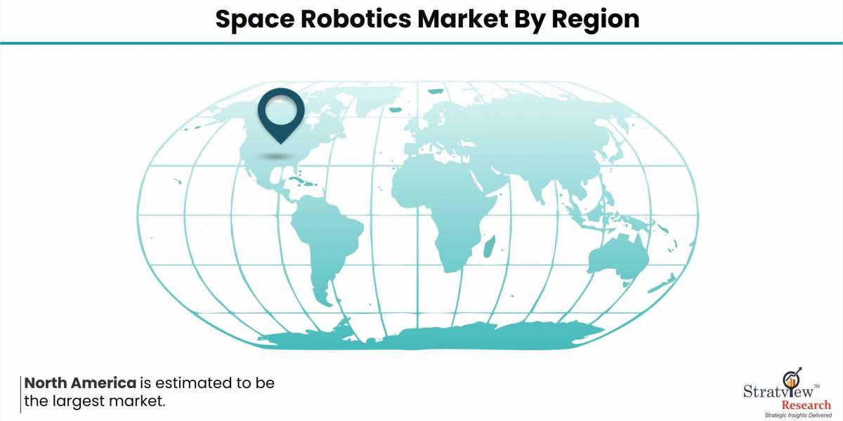 From Rovers to Satellites: Examining the Diversity of the Space Robotics Market