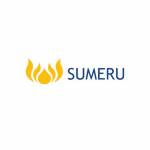Sumeru Inc Profile Picture