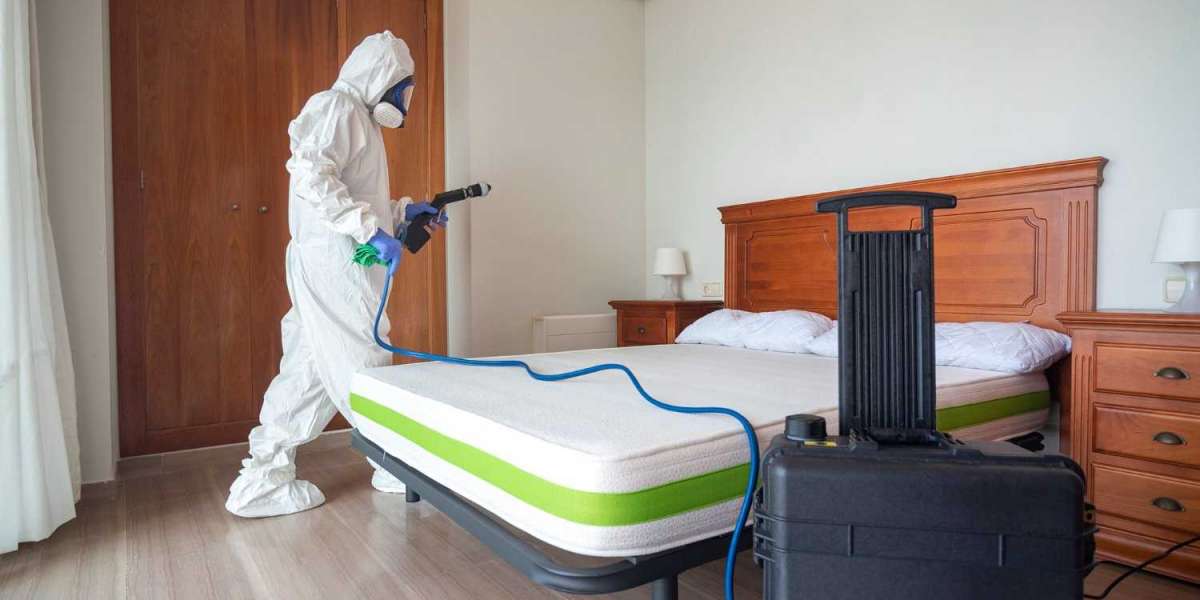 Best Bed Bug Spray for Home Use: Eliminate Bed Bugs with Confidence