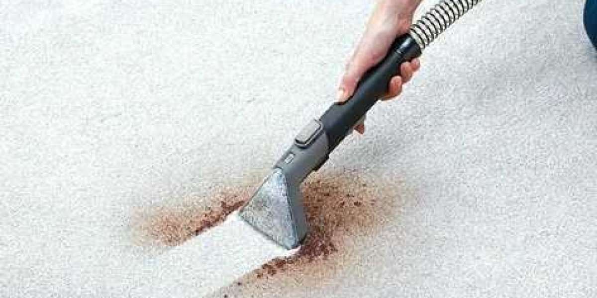 Revitalize Your Living Space with a Professional Rug Cleaning Service Near You