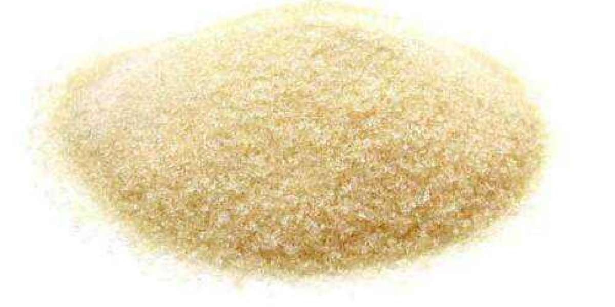 Gelatin Powder Manufacturing Plant Project Report 2024: Requirements and Cost Involved