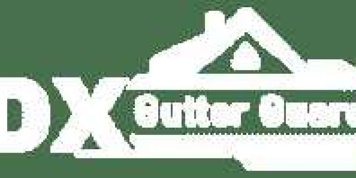 Gutter Guard Systems: Revolutionizing Home Maintenance with DX Gutter Guard