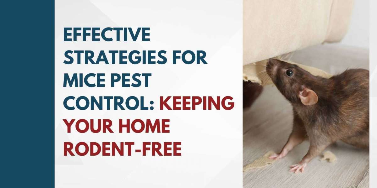 Effective Strategies for Mice Pest Control: Keeping Your Home Rodent-Free