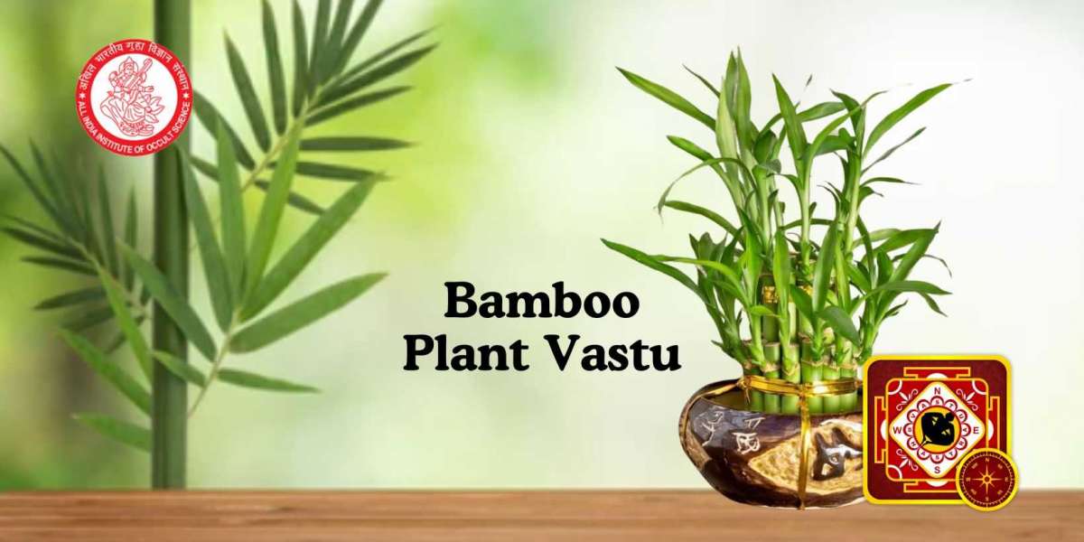 Bamboo Plant Vastu