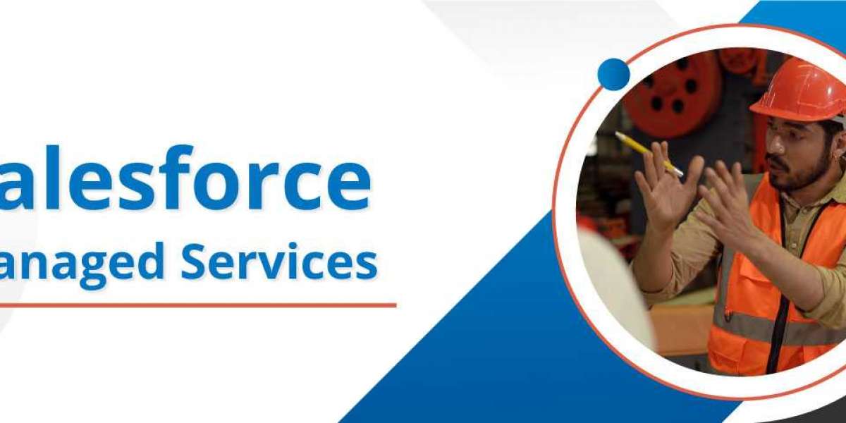 Managed Salesforce Services 360 Degree Cloud