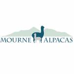 Mourne Alpacas Profile Picture