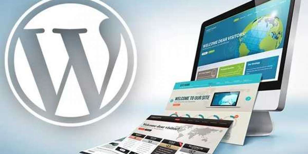 Hire the Best WordPress Developer and Designer in the USA