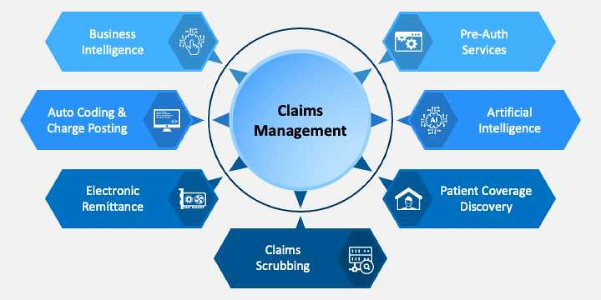 Digital Motor Claims Management Market: Global Scenario, Leading Players and Growth by 2033