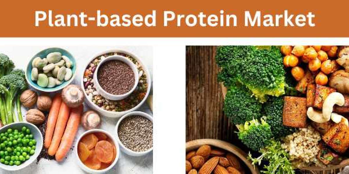 Plant-based Protein Market Trends Analysis, Demand and Forecasts 2033