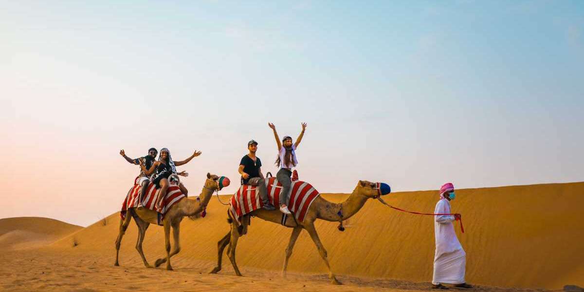 Top places to visit in Dubai for safari