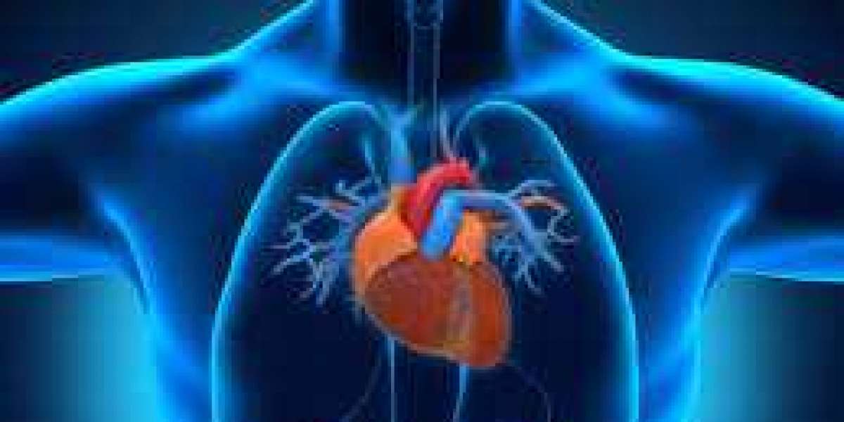 Beating Heart, Advanced Care: Interventional Cardiology in Chennai