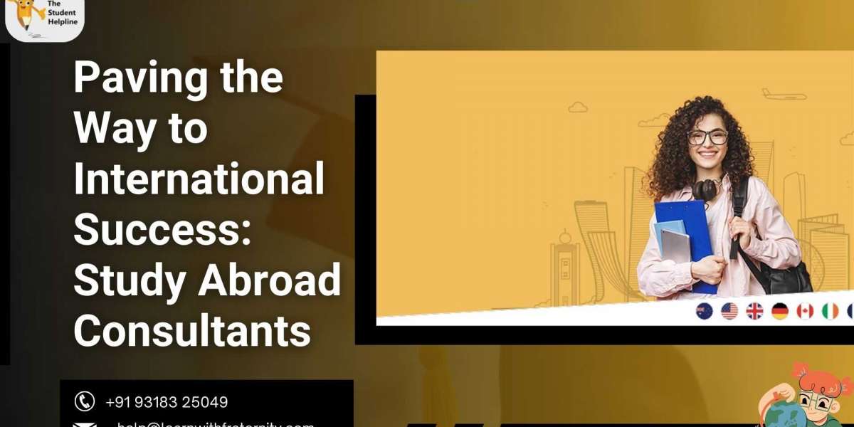 Paving the Way to International Success: Study Abroad Consultants