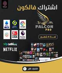 فالكون TV